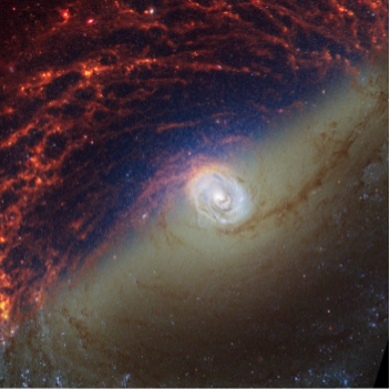 ngc1433_color_thumb.png