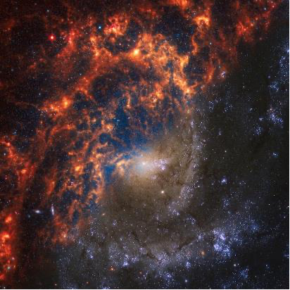 ngc2835_color_thumb.png